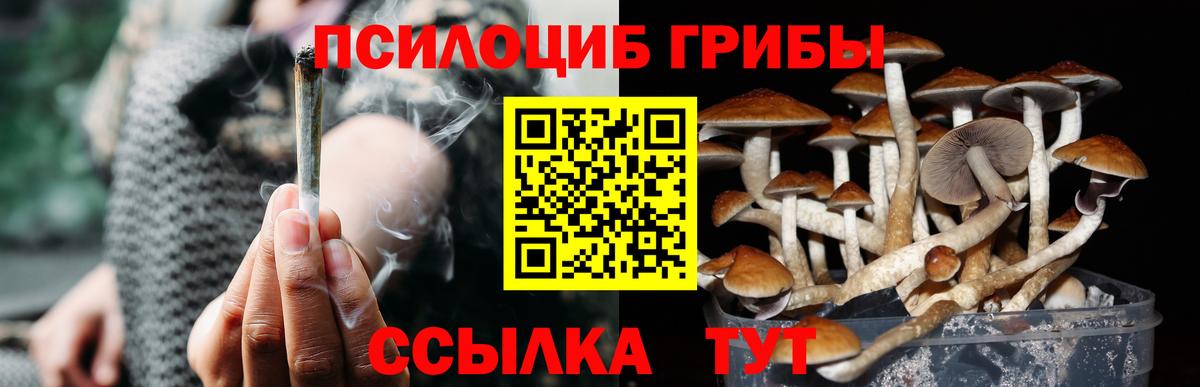 Псилоцибиновые грибы ЛСД Десногорск